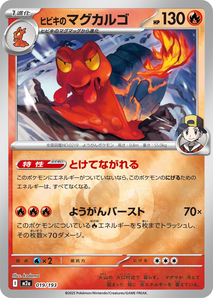 ヒビキのマグカルゴ