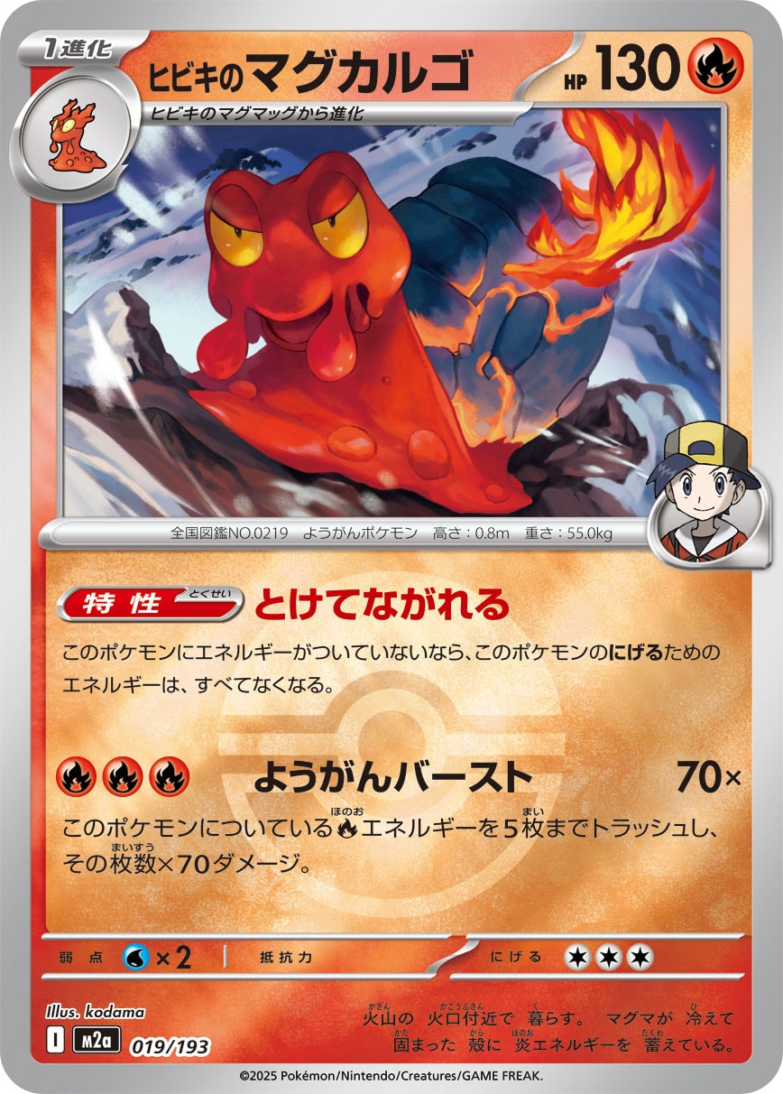 ヒビキのマグカルゴ