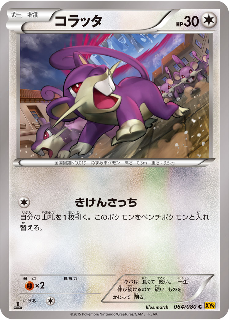 コラッタ ポケモンカードゲーム公式ホームページ