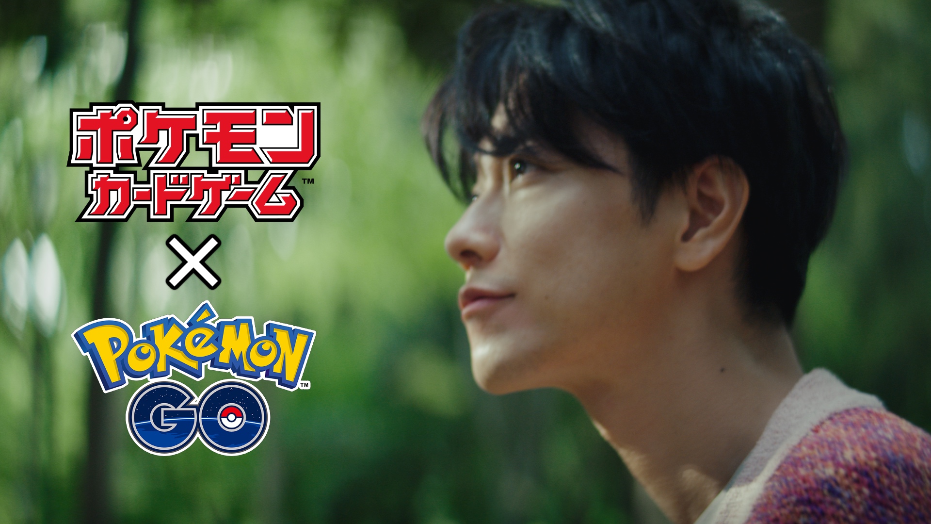 ポケモンカードゲーム公式ホームページ トレーナーズウェブサイト ポケモンカードゲーム公式ホームページ トレーナーズウェブサイト