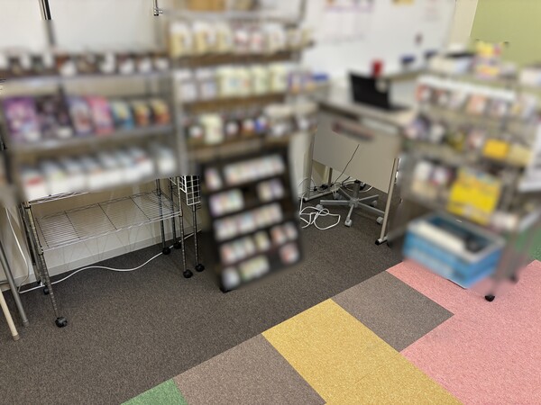 ポケモンカードイベント画像