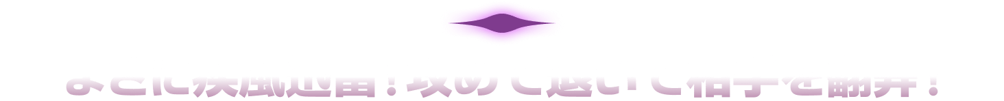 まさに疾風迅雷!攻めて退いて相手を翻弄!