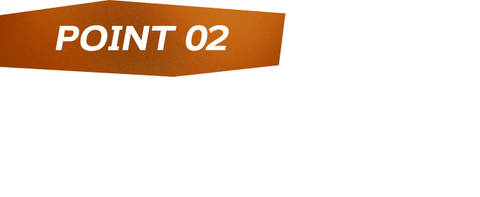 POINT02 伝説の山頂でメガレックウザexが戦いやすく！