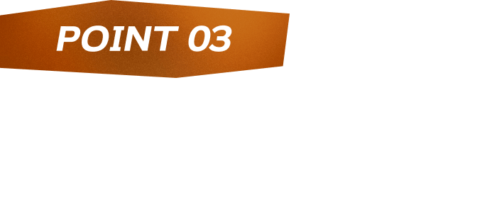 POINT03 炎エネルギーと雷エネルギーをたくさんつけよう！