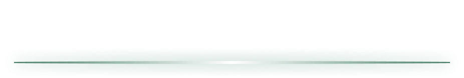 宙駆けるメガレックウザ