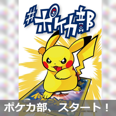 ポケカを楽しむ社会人を応援！