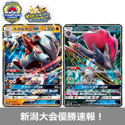 【速報】チャンピオンズリーグ2019新潟、上位入賞者のデッキを紹介！