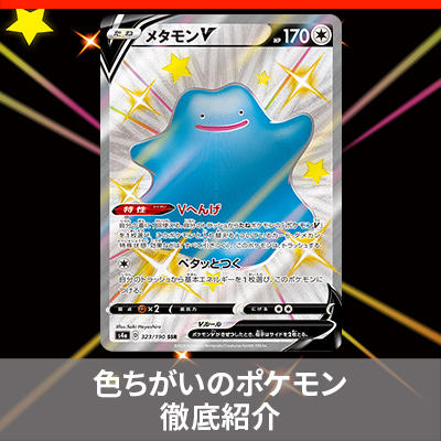 11月19日（木）更新！<br/>「シャイニースターV」色ちがいのポケモン徹底紹介
