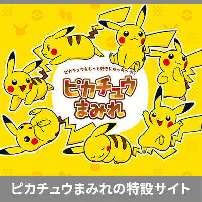 ピカチュウのカードがたくさんのサイトを大公開！