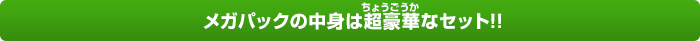メガパックの中身は超豪華なセット!!