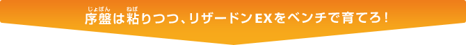 序盤は粘りつつ、リザードンEXをベンチで育てろ！