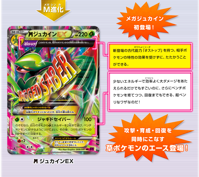 →メガ進化→　メガジュカインEX　メガジュカイン初登場！　θ（シータ）ストップ　新登場の古代能力「θ（シータ）ストップ」を持つ。相手ポケモンの特性の効果を受けずに、たたかうことができる。　ジャギドセイバー　少ないエネルギーで効率よく大ダメージをあたえられるだけでもすごいのに、さらにベンチポケモンを育てつつ、回復までもできる、超ベンリなワザなのだ！　攻撃・育成・回復を同時にこなす草ポケモンのエース登場！