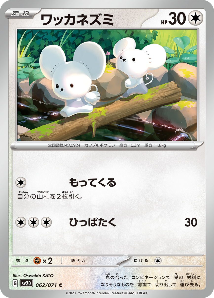 ワッカネズミ(062)